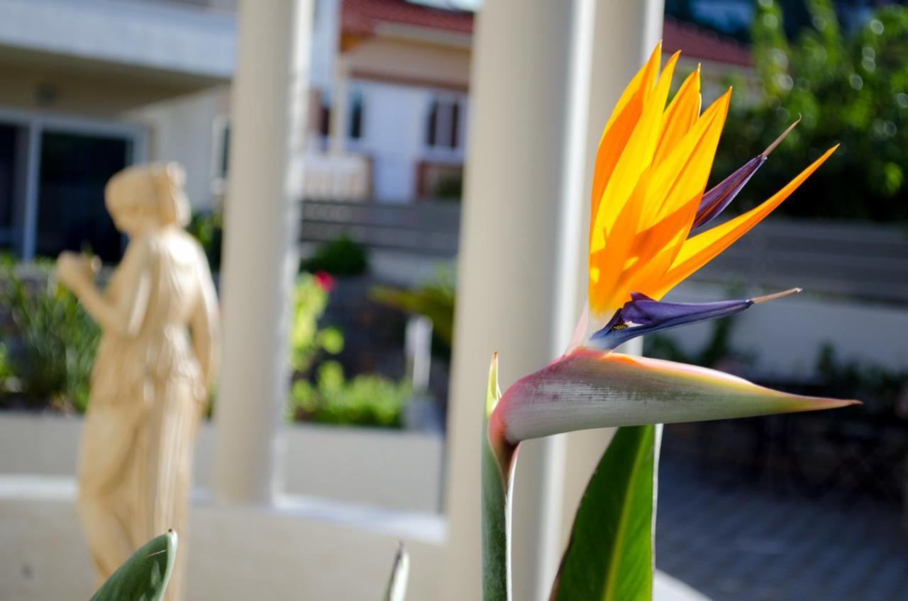 Hotel Estia ฟีนีคุนตา ภายนอก รูปภาพ